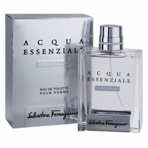 Salvatore Ferragamo Acqua Essenziale Colonia - Eau de Toilette pentru bărbați 100 ml Salvatore Ferragamo Acqua Essenziale Colonia - Eau de Toilette pentru bărbați 100 ml