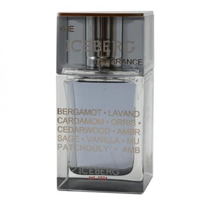 Parfum Iceberg The Iceberg - Apă de toaletă pentru bărbați 100 ml Parfumuri