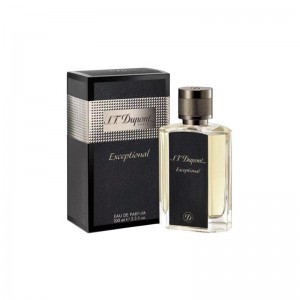 Dupont Exceptional - Eau de Parfum pentru bărbați 100 ml