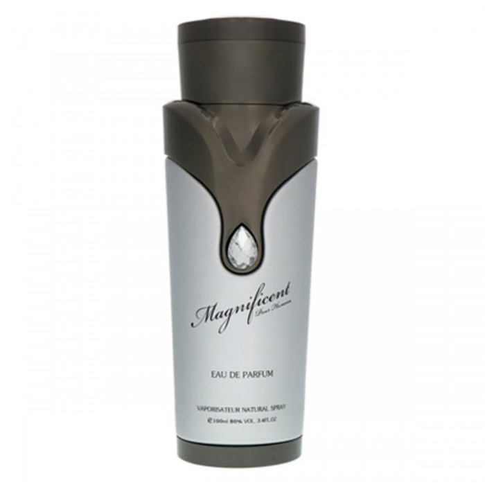 Armaf Magnificent Eau de Parfum - Apă de parfum pentru bărbați 100 ml Armaf Magnificent Eau de Parfum - Apă de parfum pentru bărbați 100 ml